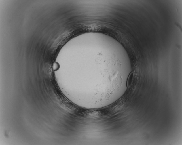 X0000103460456200809261844