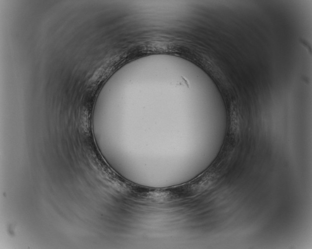 X0000103460457200809261844