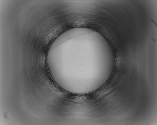 X0000103460458200809261844