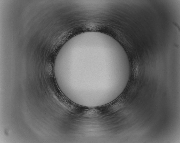 X0000103460459200809261844