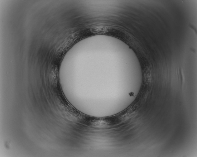 X0000103460460200809261844