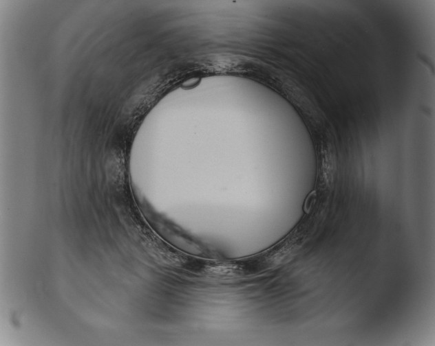 X0000103460461200809261844