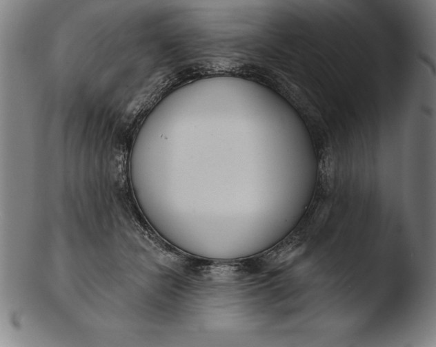 X0000103460462200809261844