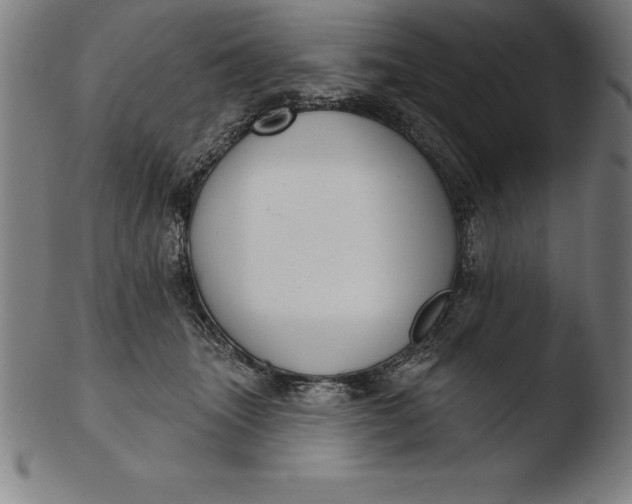 X0000103460463200809261844