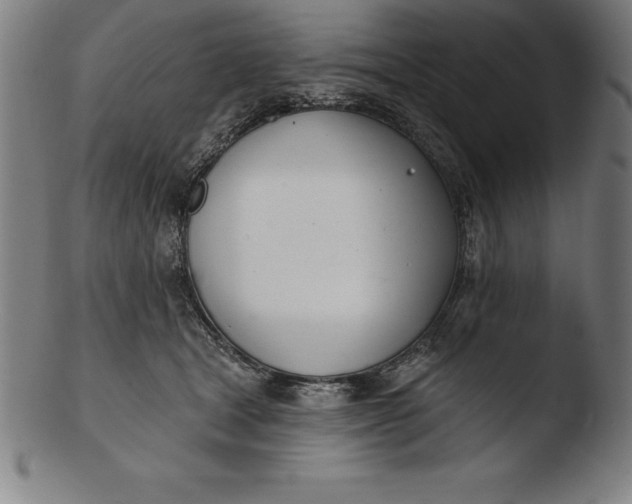 X0000103460465200809261844