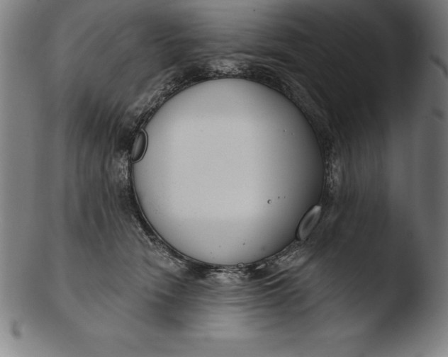 X0000103460466200809261844