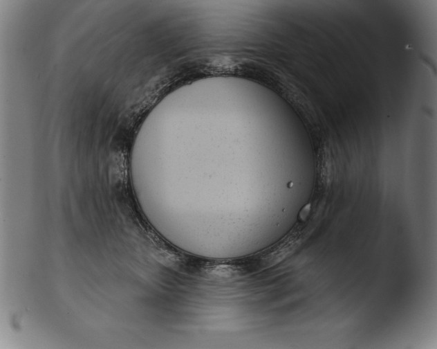 X0000103460467200809261845