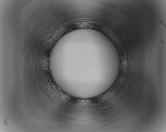 X0000103460469200809261845