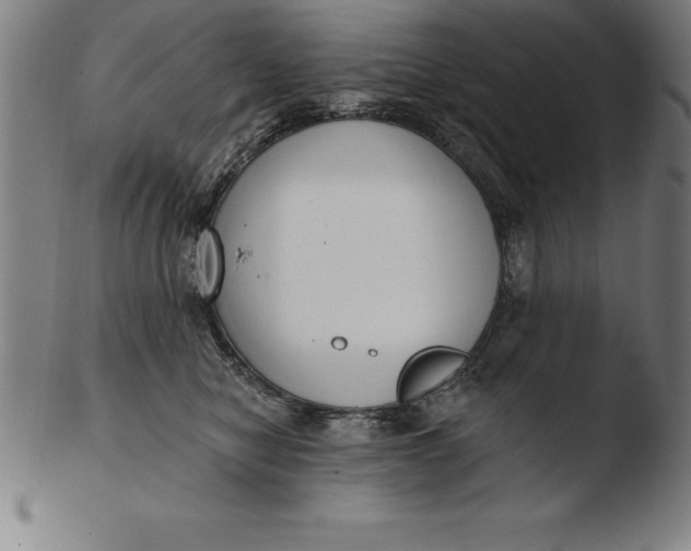 X0000103460470200809261845