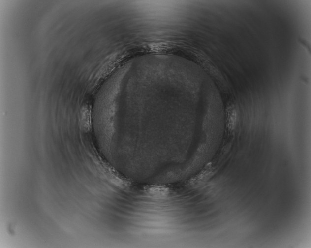 X0000103460471200809261845