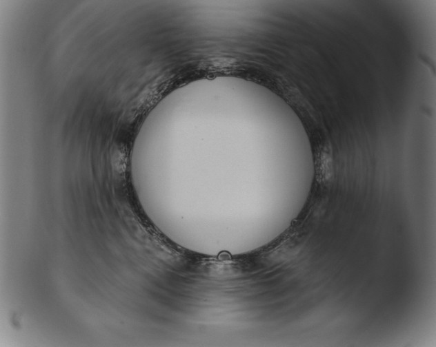 X0000103460472200809261845