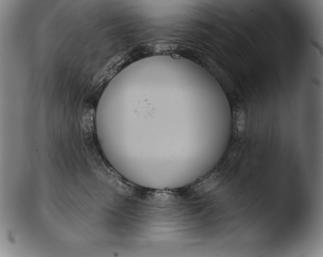 X0000103460475200809261845