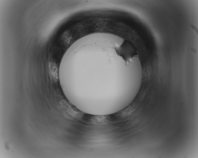 X0000103460479200809261845