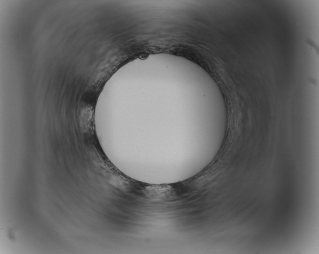 X0000103460480200809261845