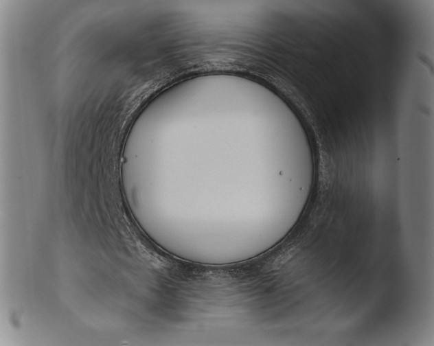 X0000103460481200809261844