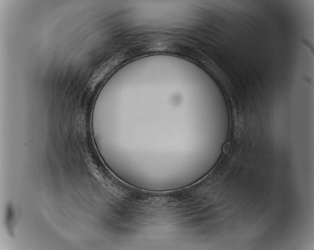 X0000103460482200809261844