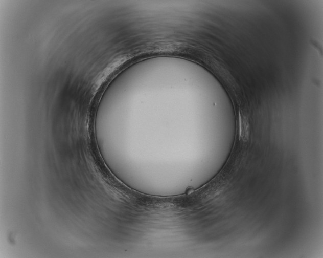 X0000103460483200809261844