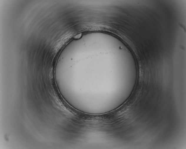 X0000103460485200809261844