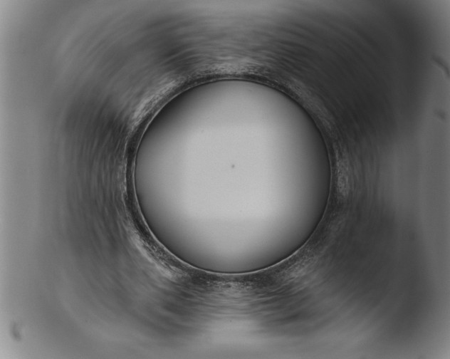 X0000103460486200809261844