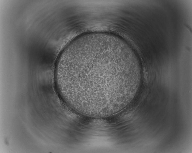 X0000103460487200809261844