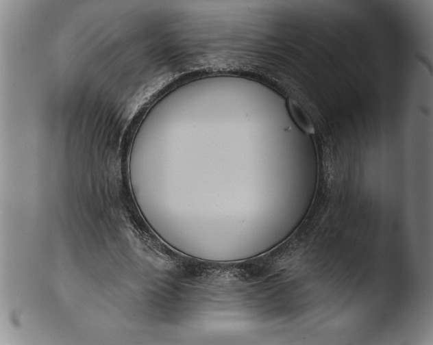 X0000103460488200809261844