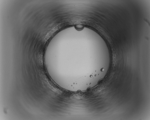 X0000103460489200809261844