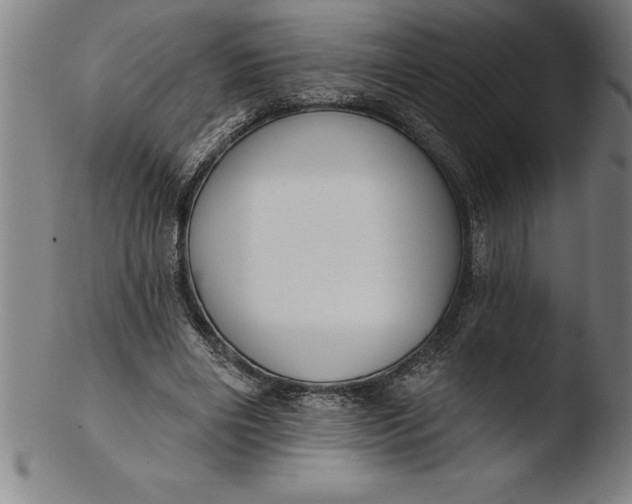 X0000103460490200809261844