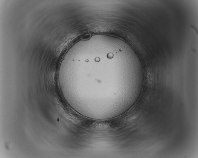 X0000103460491200809261844