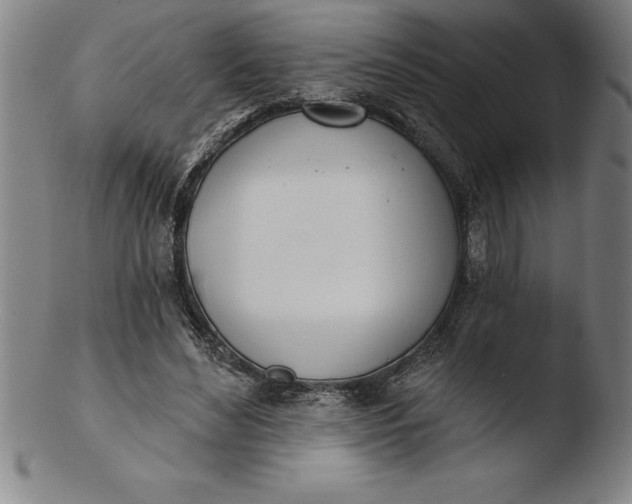 X0000103460492200809261844