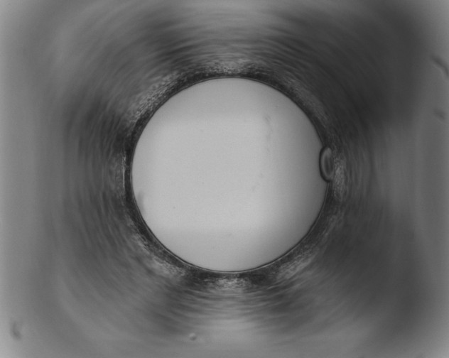 X0000103460493200809261844