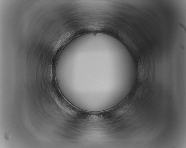 X0000103460494200809261844