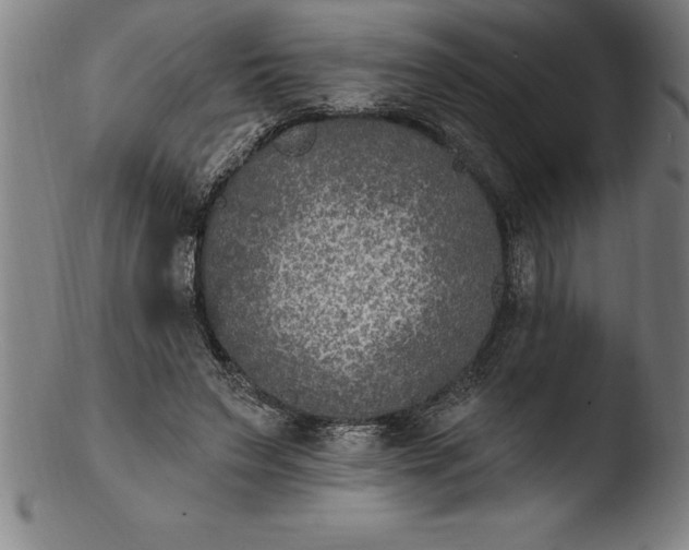 X0000103460495200809261844