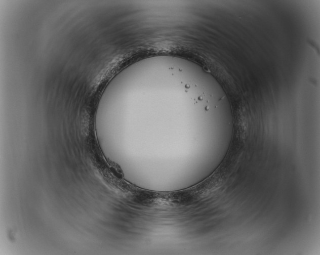 X0000103460496200809261844