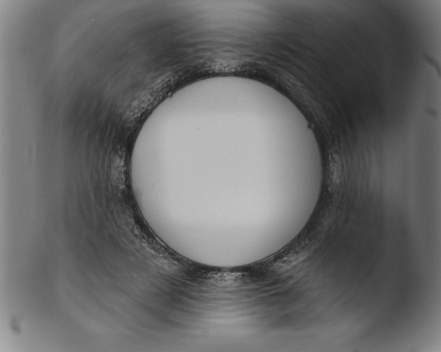 X0000103460497200809261844