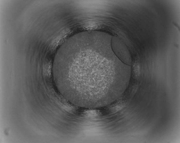 X0000103460499200809261844