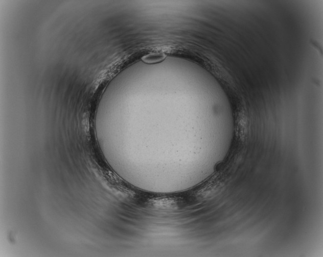 X0000103460500200809261844