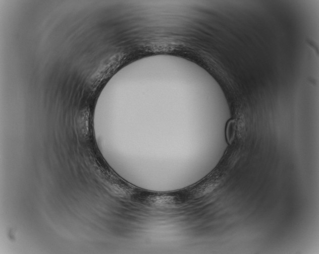 X0000103460501200809261844