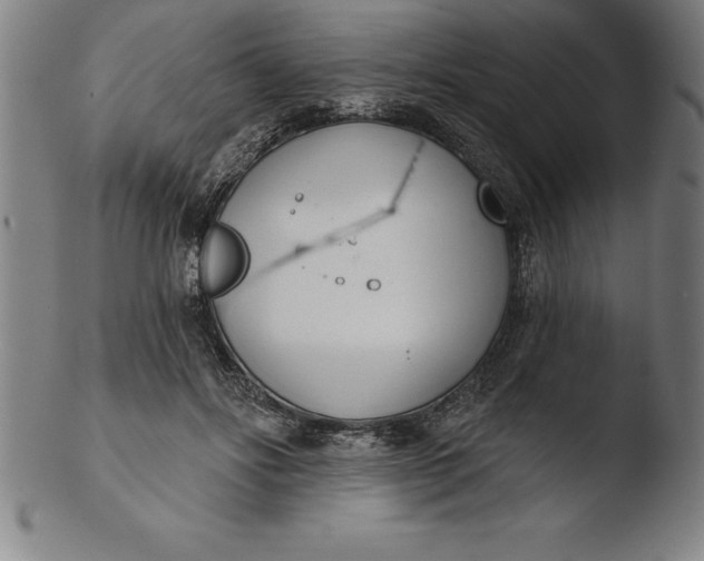 X0000103460502200809261844