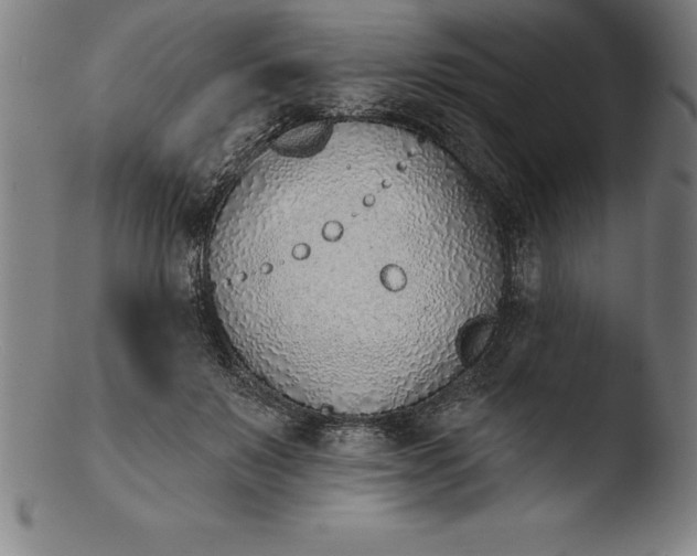 X0000103460503200809261844