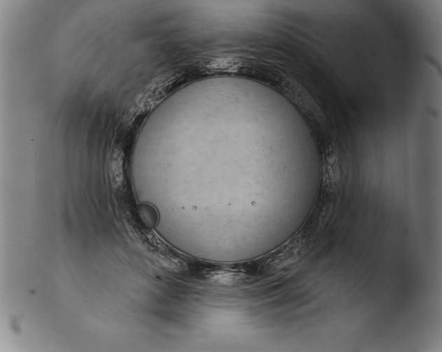 X0000103460504200809261844