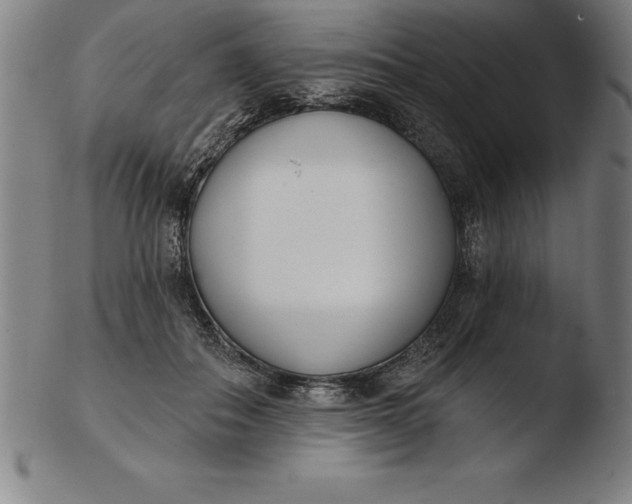 X0000103460506200809261844