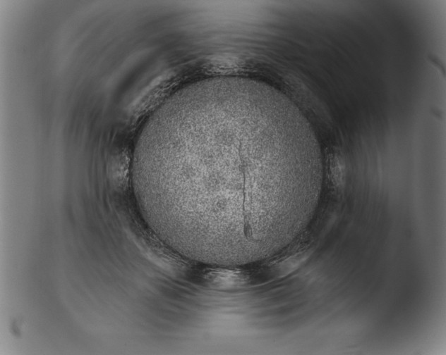 X0000103460507200809261844