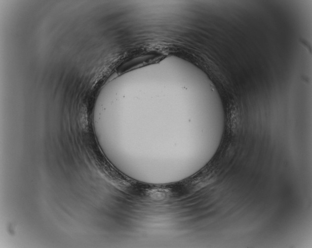 X0000103460508200809261844