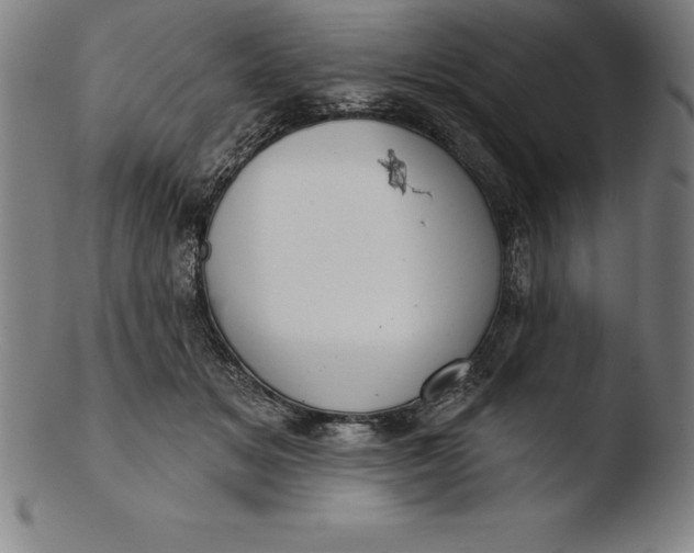 X0000103460509200809261844