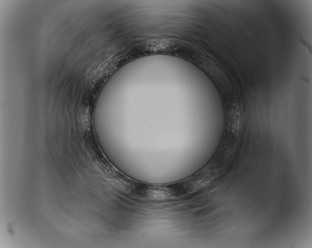 X0000103460510200809261844