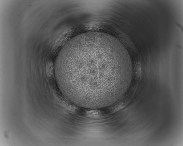 X0000103460511200809261844