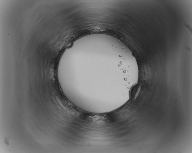 X0000103460512200809261844