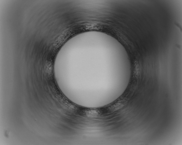 X0000103460513200809261844