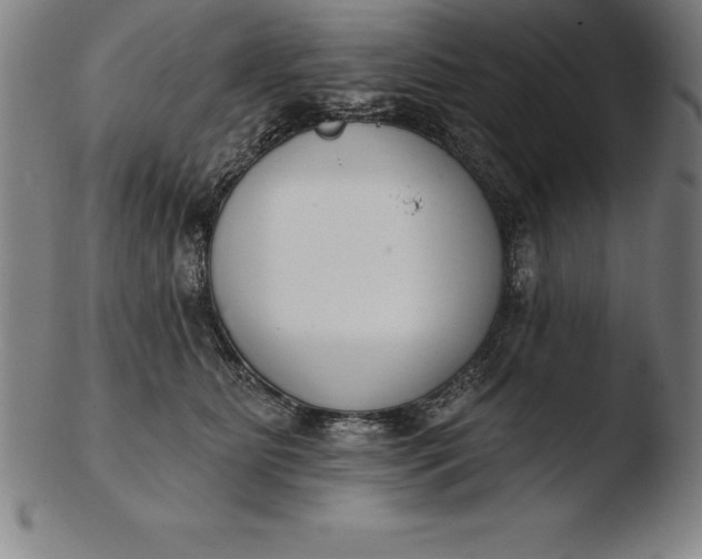 X0000103460515200809261844