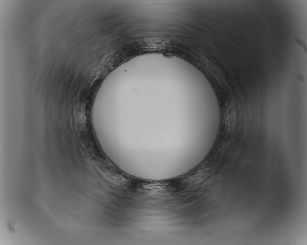 X0000103460516200809261844